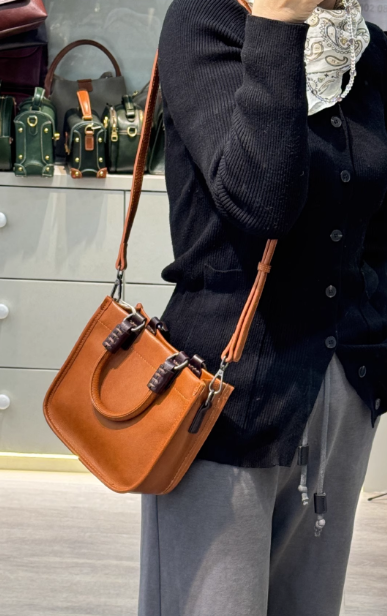 Trend Brown Luxe Leather Bag