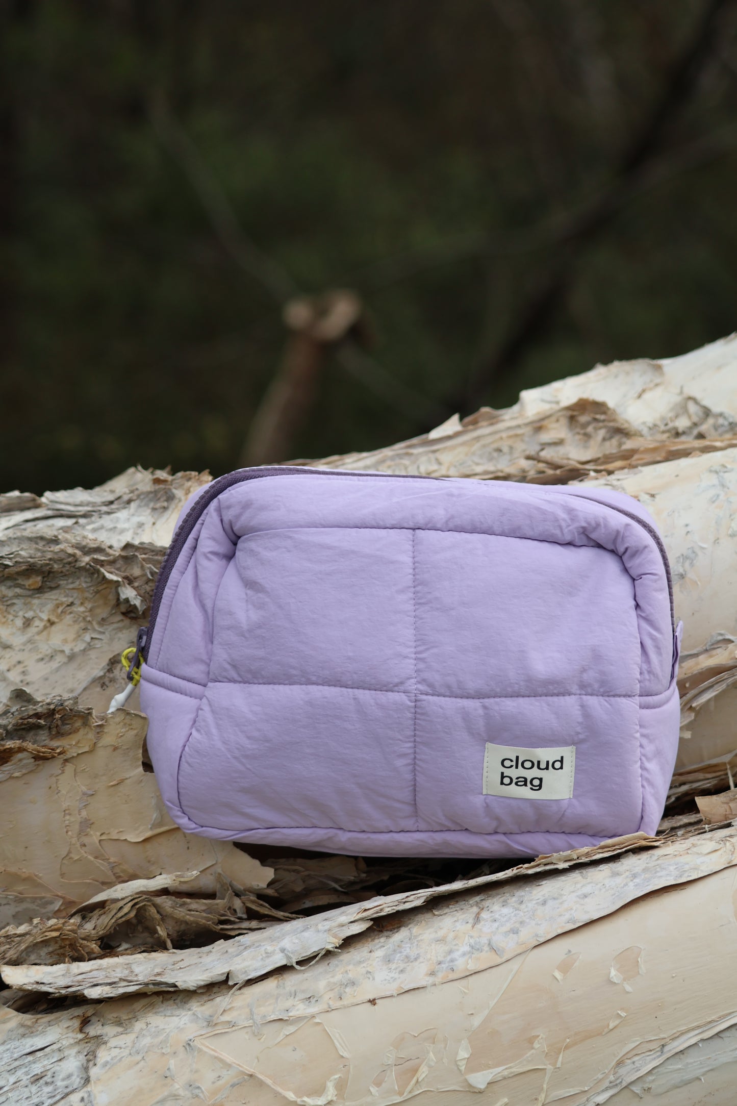 Big Purple Cloud Bag