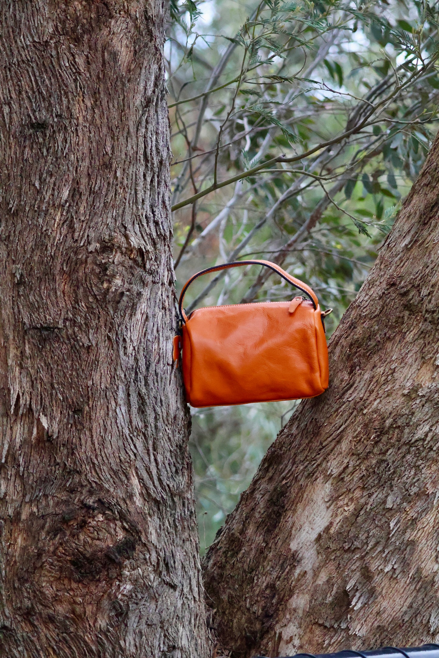 Luxe Brown Mini Square Bag