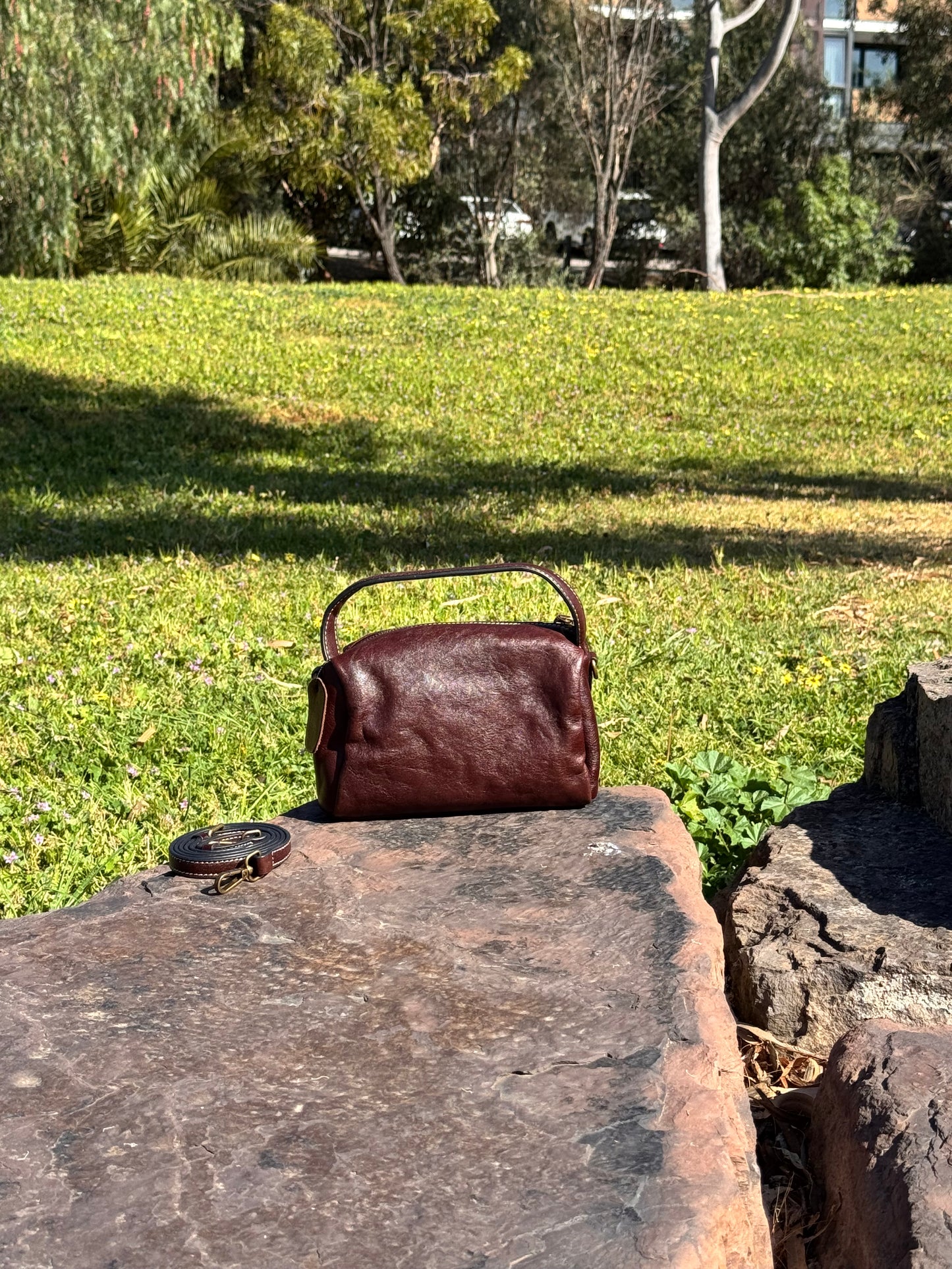 Luxe Coffee Mini Square Bag