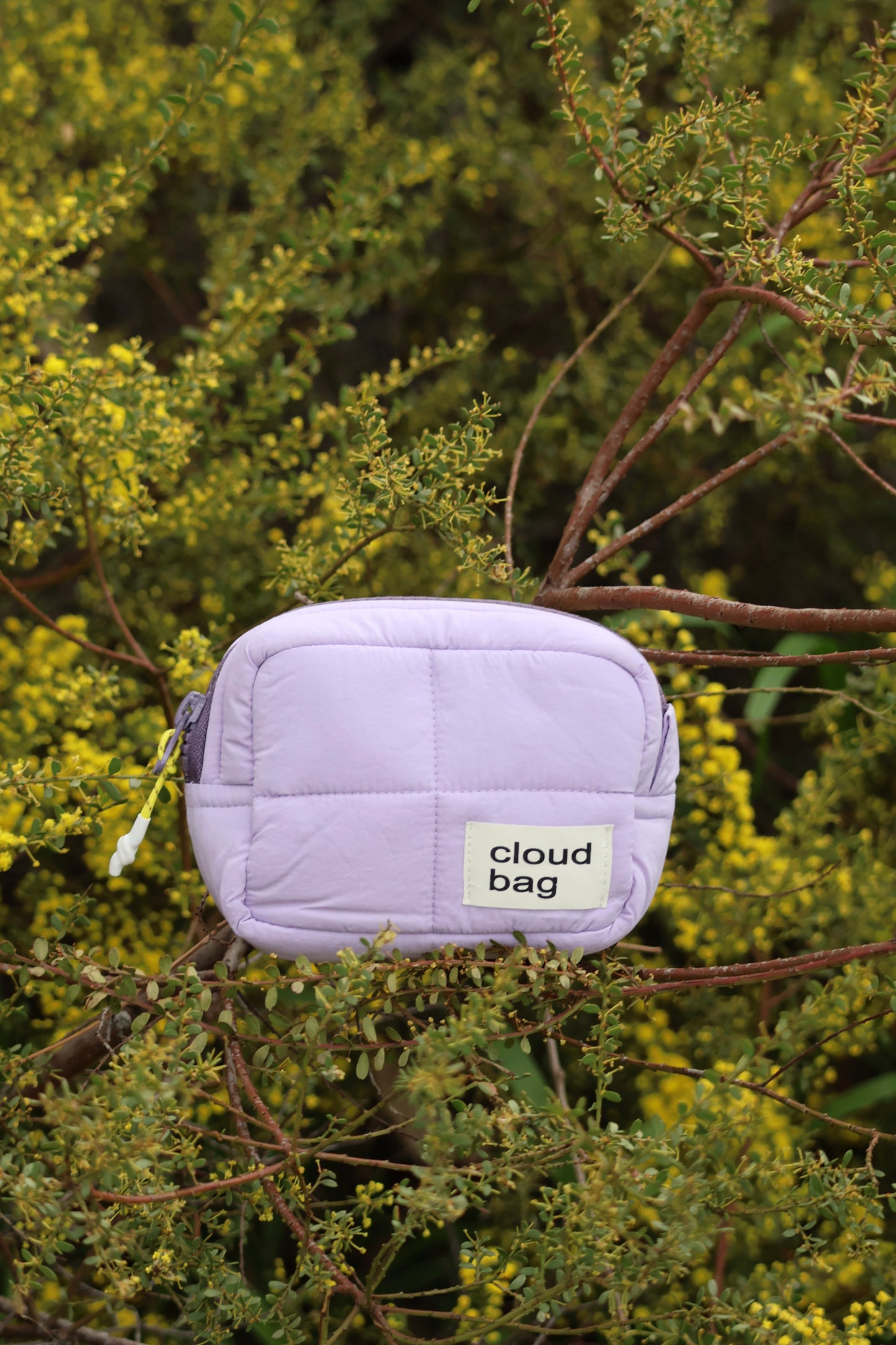 Small Purple Cloud Bag