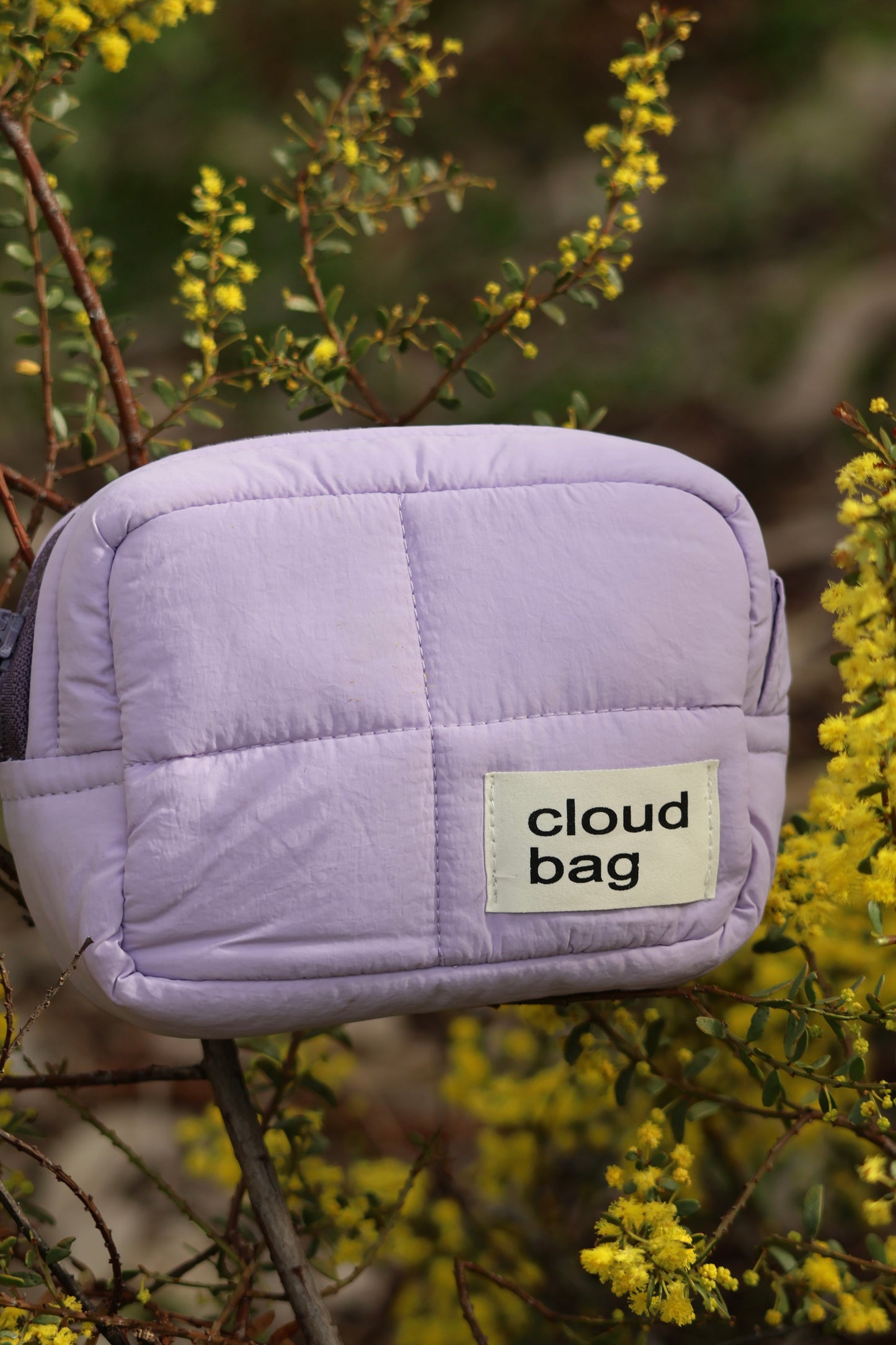 Small Purple Cloud Bag